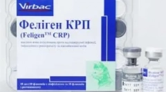 Feligen dla kotów - szczepionka nie tylko dla zapobiegania calicivine